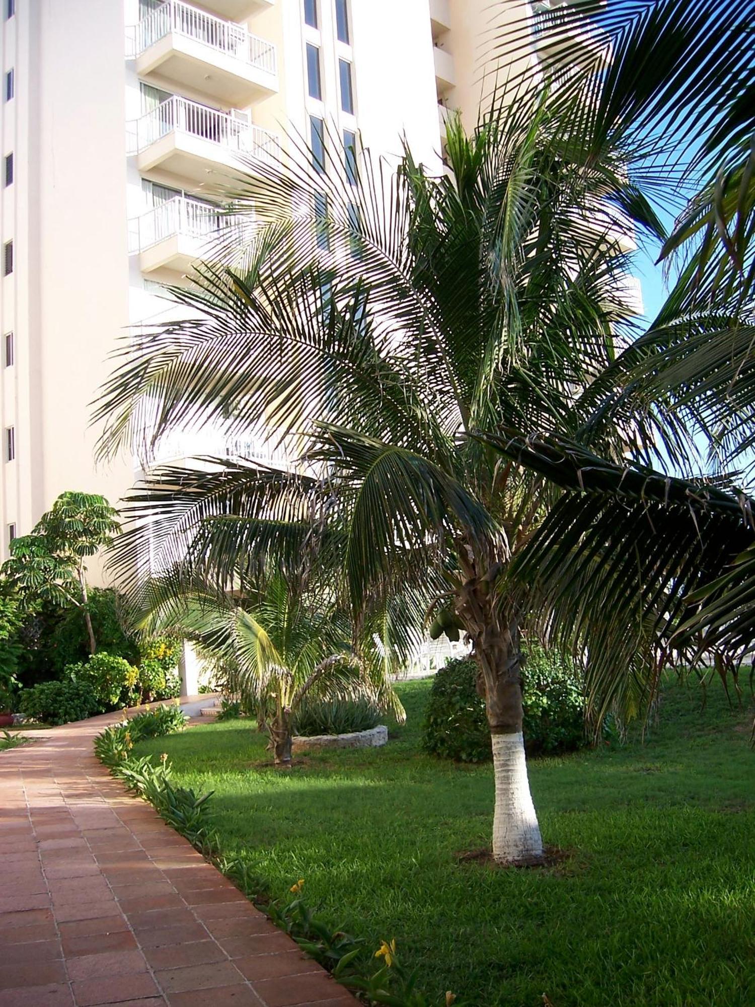 Salvia Cancun Aparts エクステリア 写真